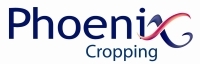 Phoenix Cropping